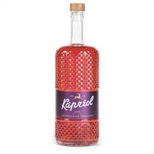 Kapriol Sloe Gin Likør - 28,7% - 70cl - Italiensk Gin