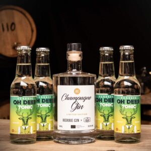 Nytårs Gin&Tonic-pakken ØKO (50cl)